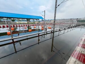 Prayagraj Waterlogging High Court Hearing
